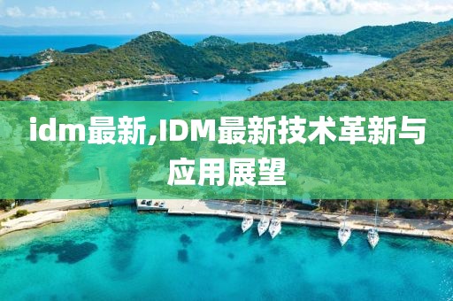 idm最新,IDM最新技术革新与应用展望