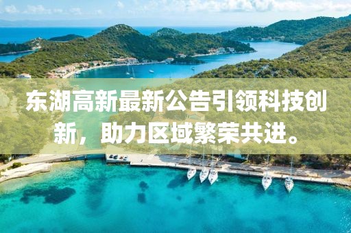 东湖高新最新公告引领科技创新，助力区域繁荣共进。