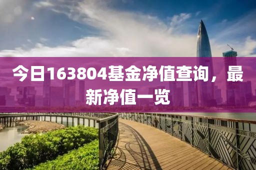 今日163804基金净值查询，最新净值一览