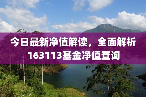 今日最新净值解读，全面解析163113基金净值查询