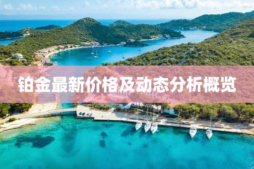 铂金最新价格及动态分析概览