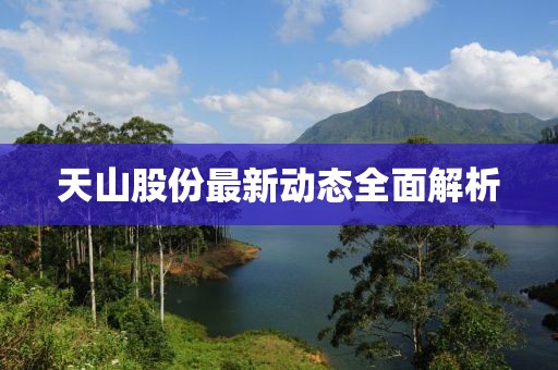 天山股份最新动态全面解析