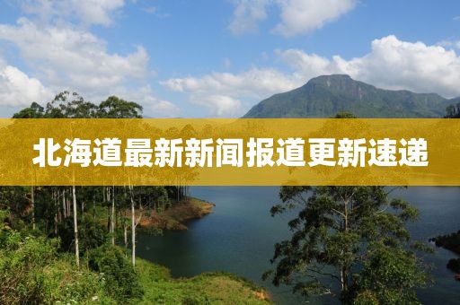 北海道最新新闻报道更新速递