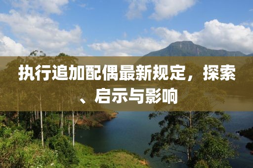 执行追加配偶最新规定，探索、启示与影响