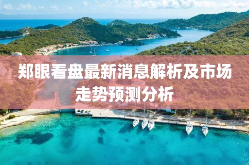 郑眼看盘最新消息解析及市场走势预测分析