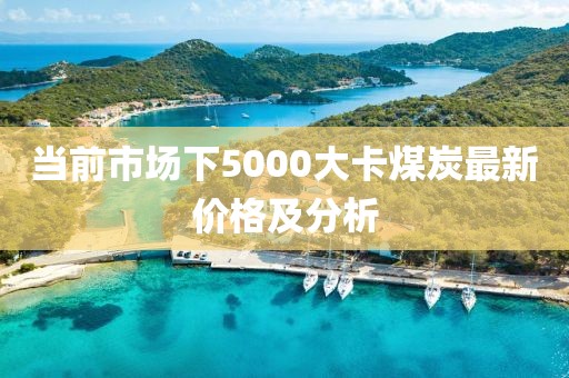 当前市场下5000大卡煤炭最新价格及分析