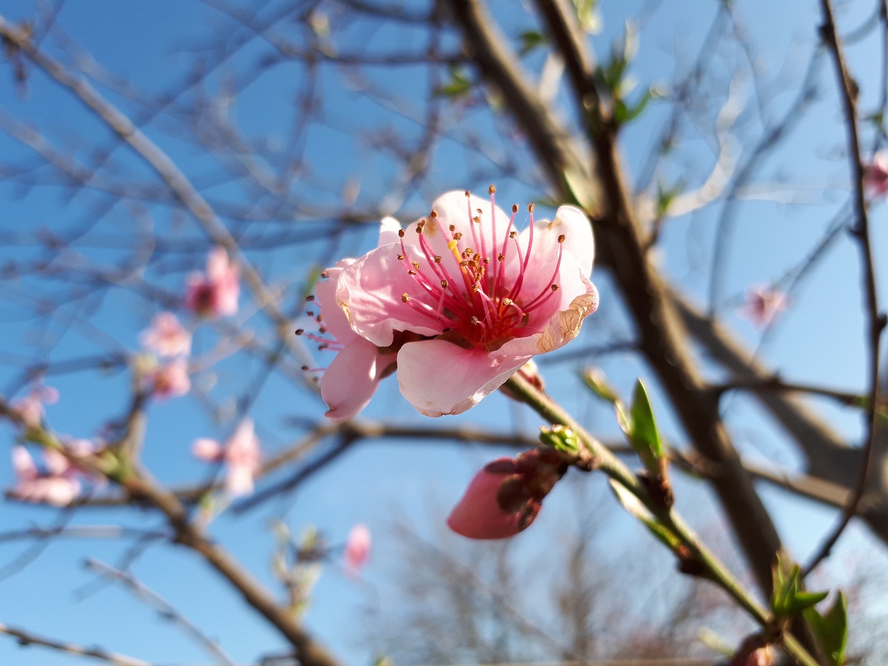 春暖花开最新地址揭秘，自然之美与生活希望的探索之旅